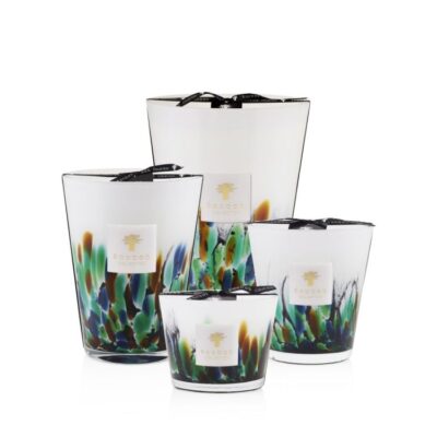 Candle Rainforest Amazonia