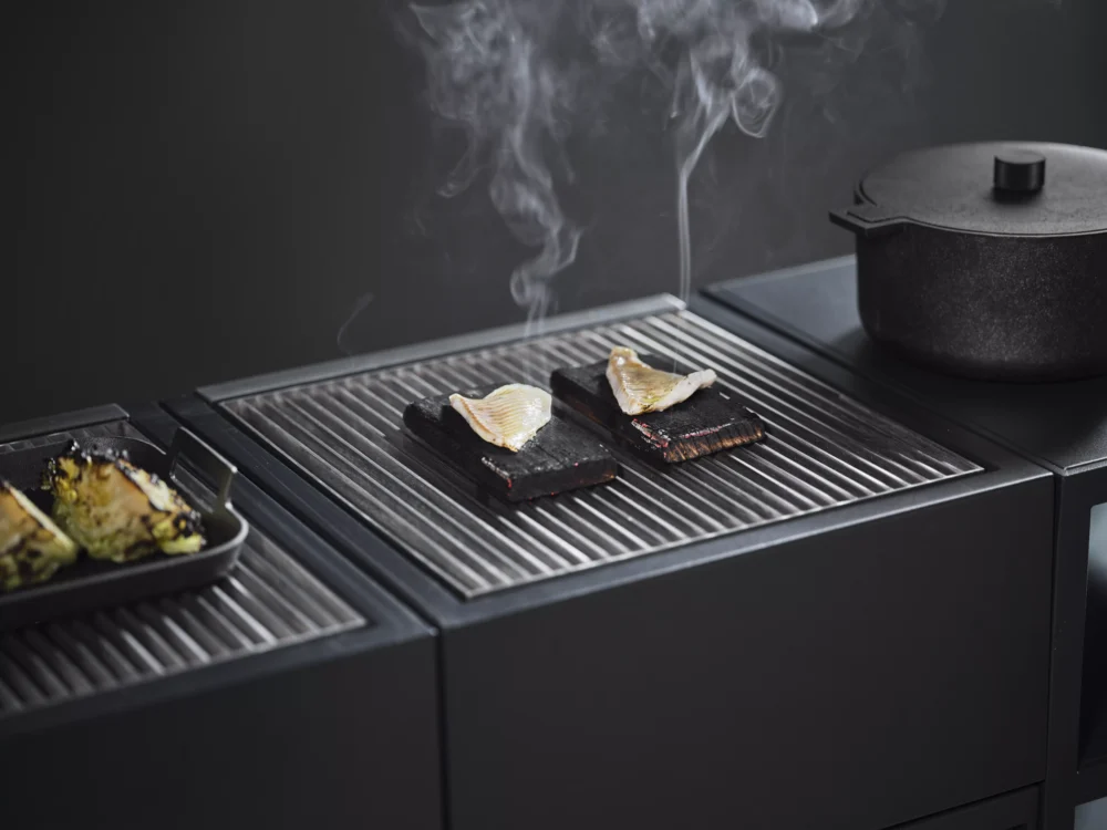 Module Charcoal Grill - Image 13