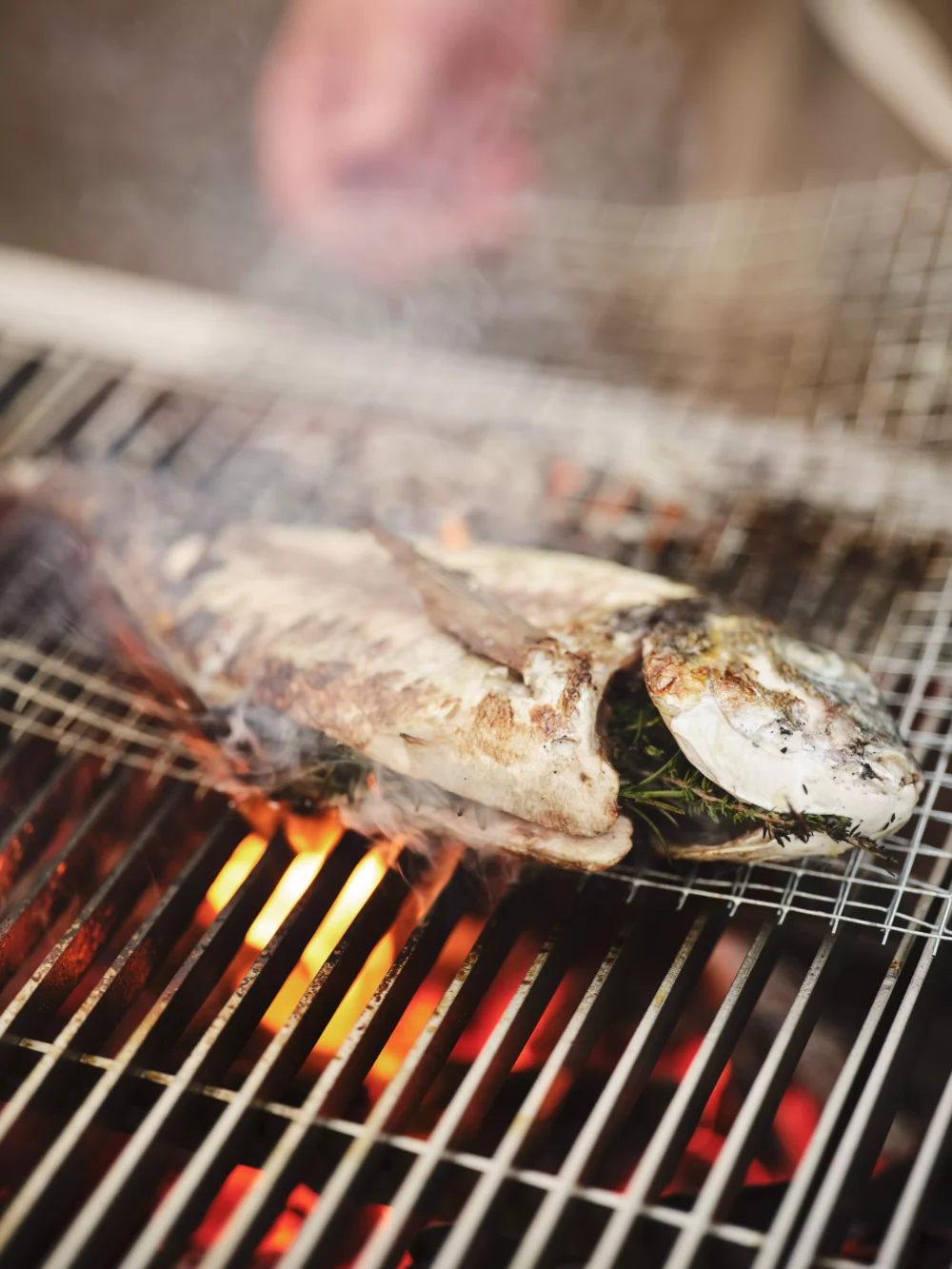Module Charcoal Grill - Image 12