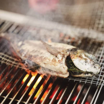 Module Charcoal Grill - Image 12