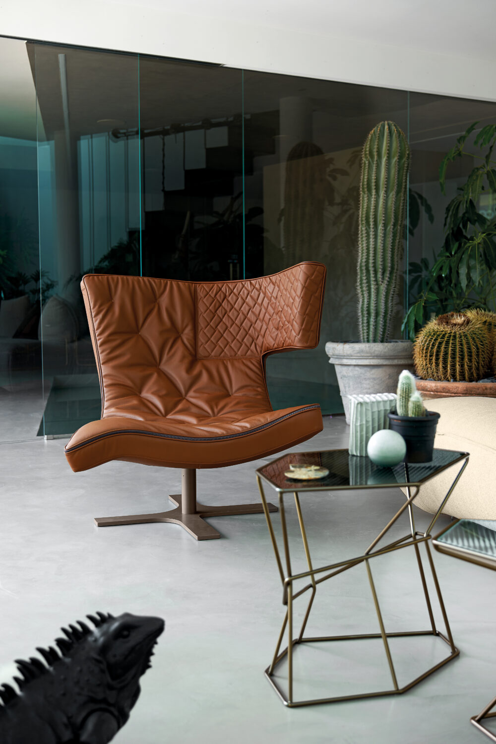 Roxy - Image 7