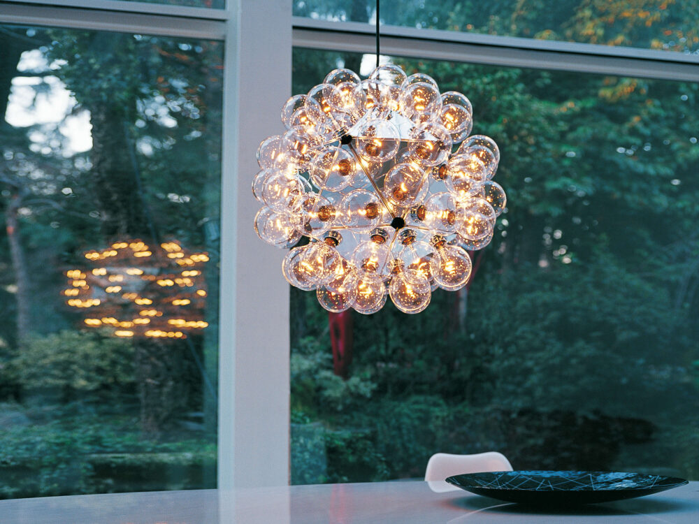 Taraxacum 88 Suspension 1 - Image 3