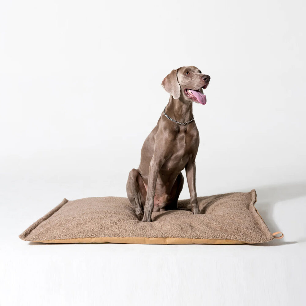 Wool Slim Dog Cushion - Havana - Image 4