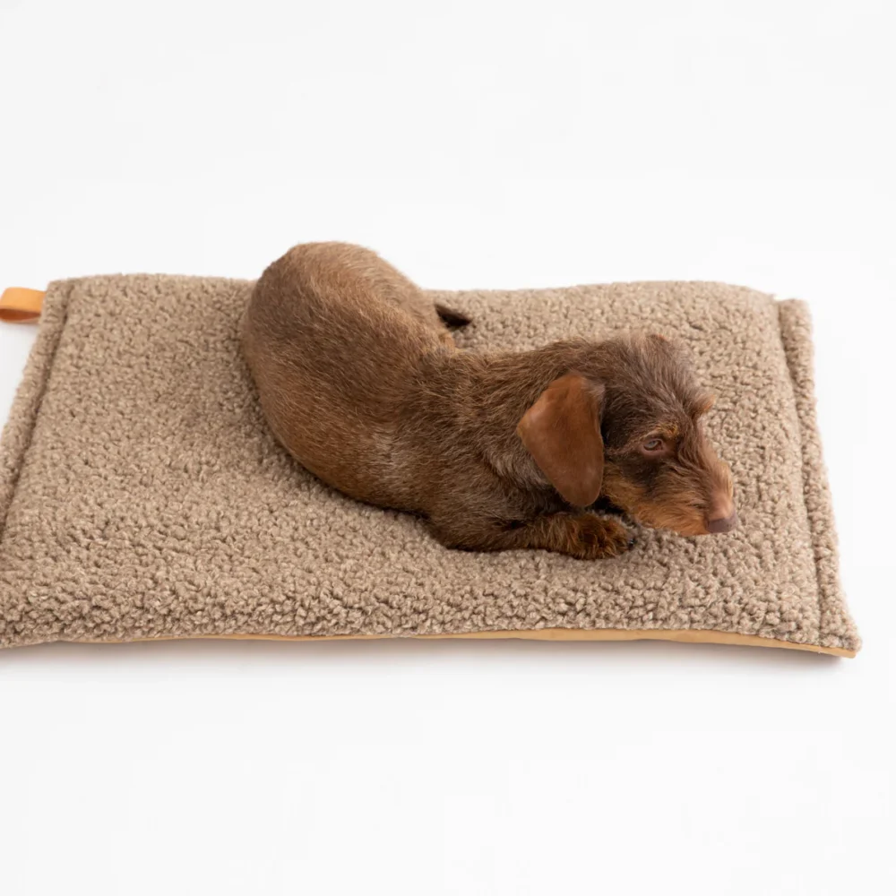 Wool Slim Dog Cushion - Havana - Image 5