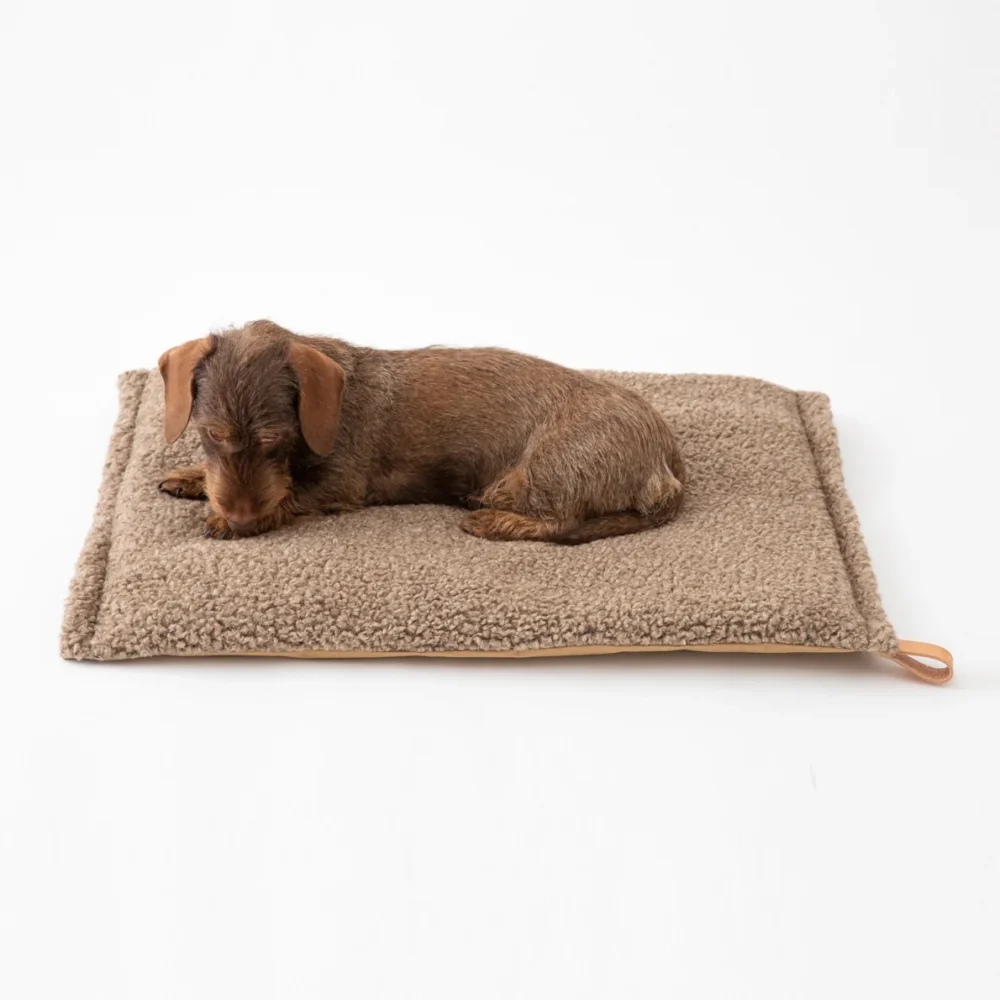 Wool Slim Dog Cushion - Havana - Image 6