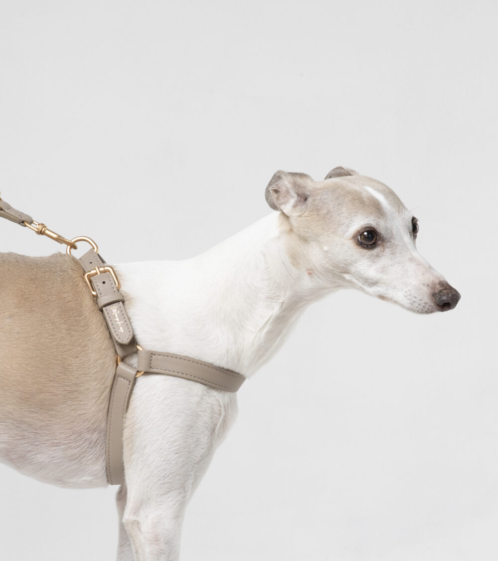 Nappa Leather Harness - Lazy taupe - Image 5