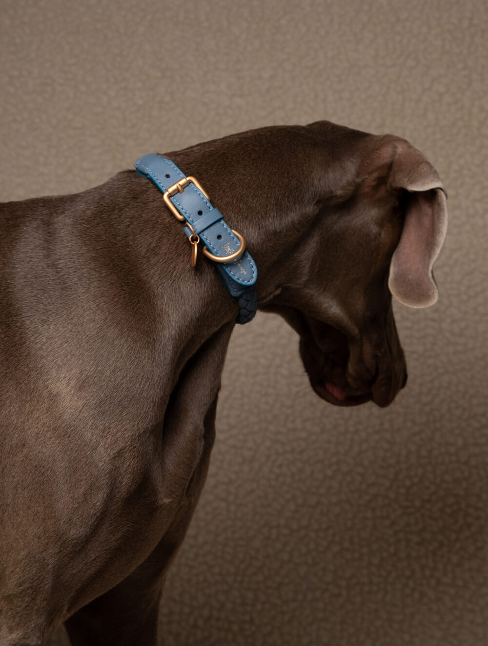 Real Nappa Leather Collar - Dusty blue - Image 6