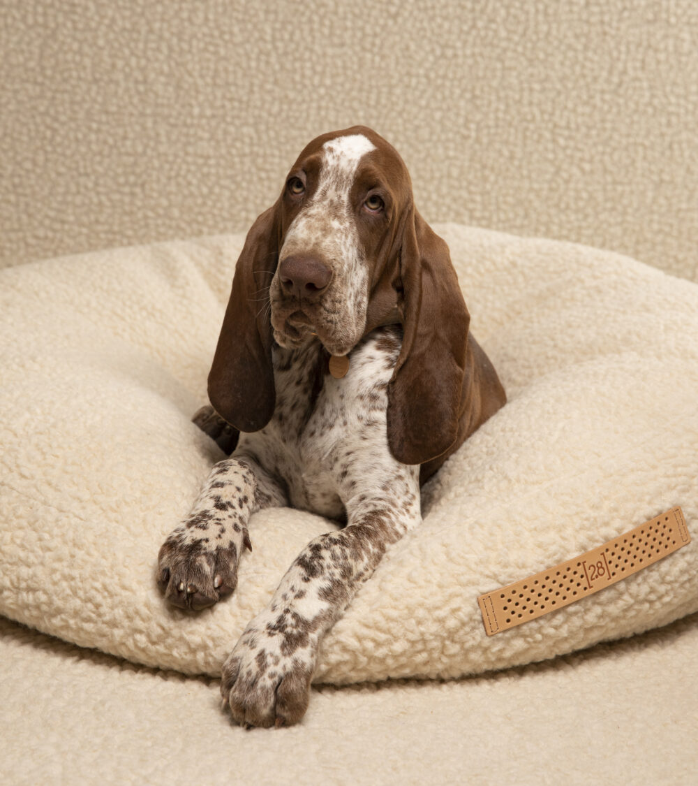Round Cushion Bouclé Wool - Cream - Image 9