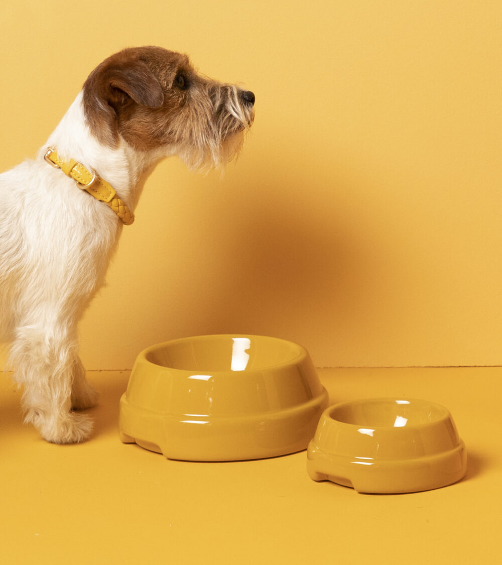Ceramic Dog Bowl - Glowy barley - Image 5