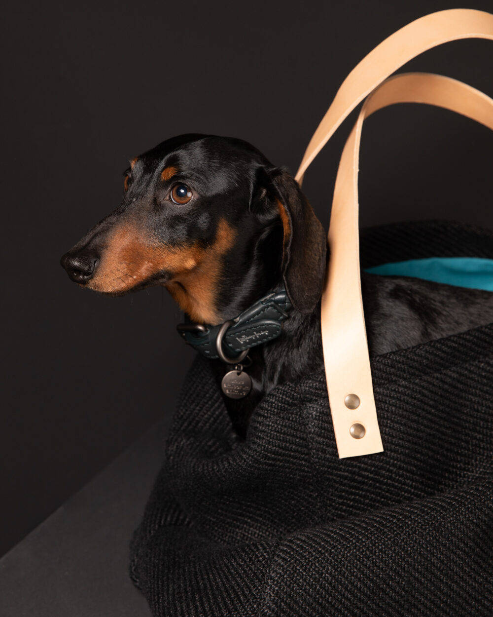 Jute Dog Bag - Black - Image 7