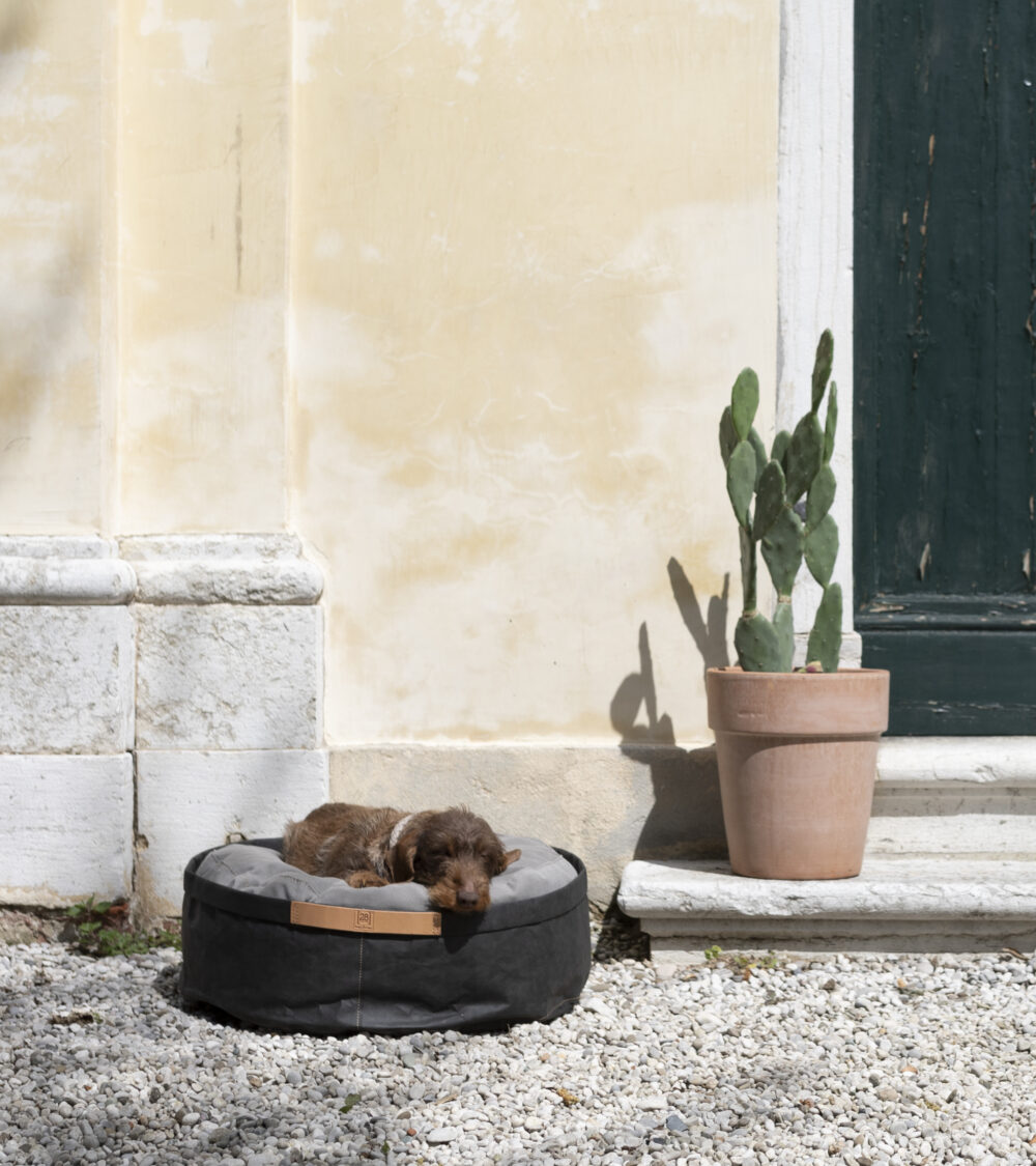 Paper Pet Cushion - Black - Image 4