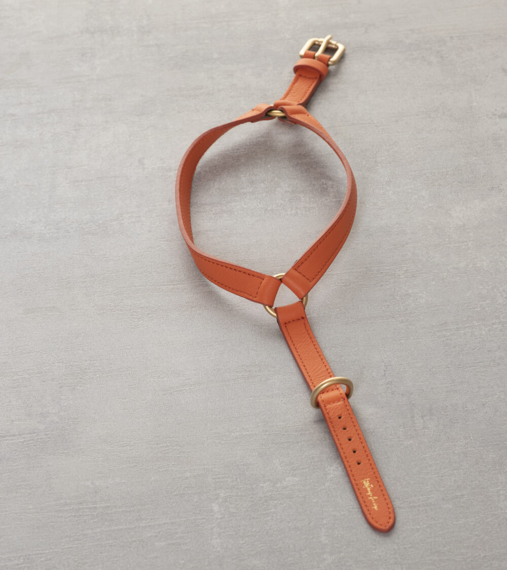 Nappa Leather Harness - Orange - Image 3