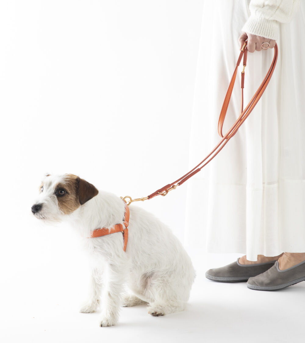 Nappa Leather Harness - Orange - Image 4