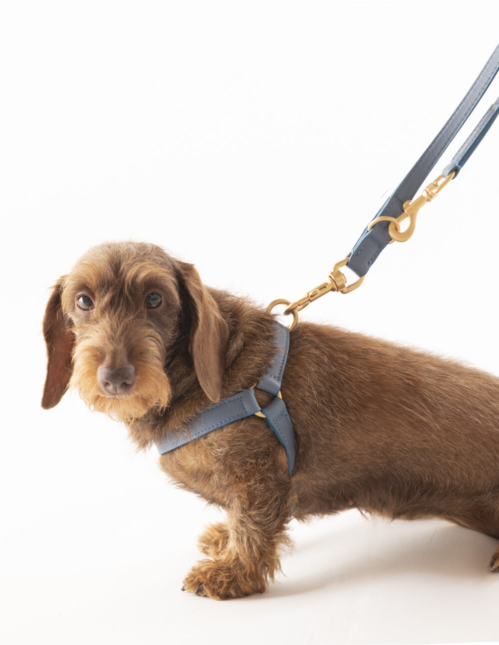 Nappa Leather Harness - Dusty blue - Image 5
