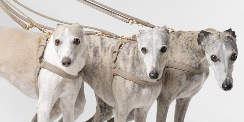Nappa Leather Harness - Lazy taupe - Image 6