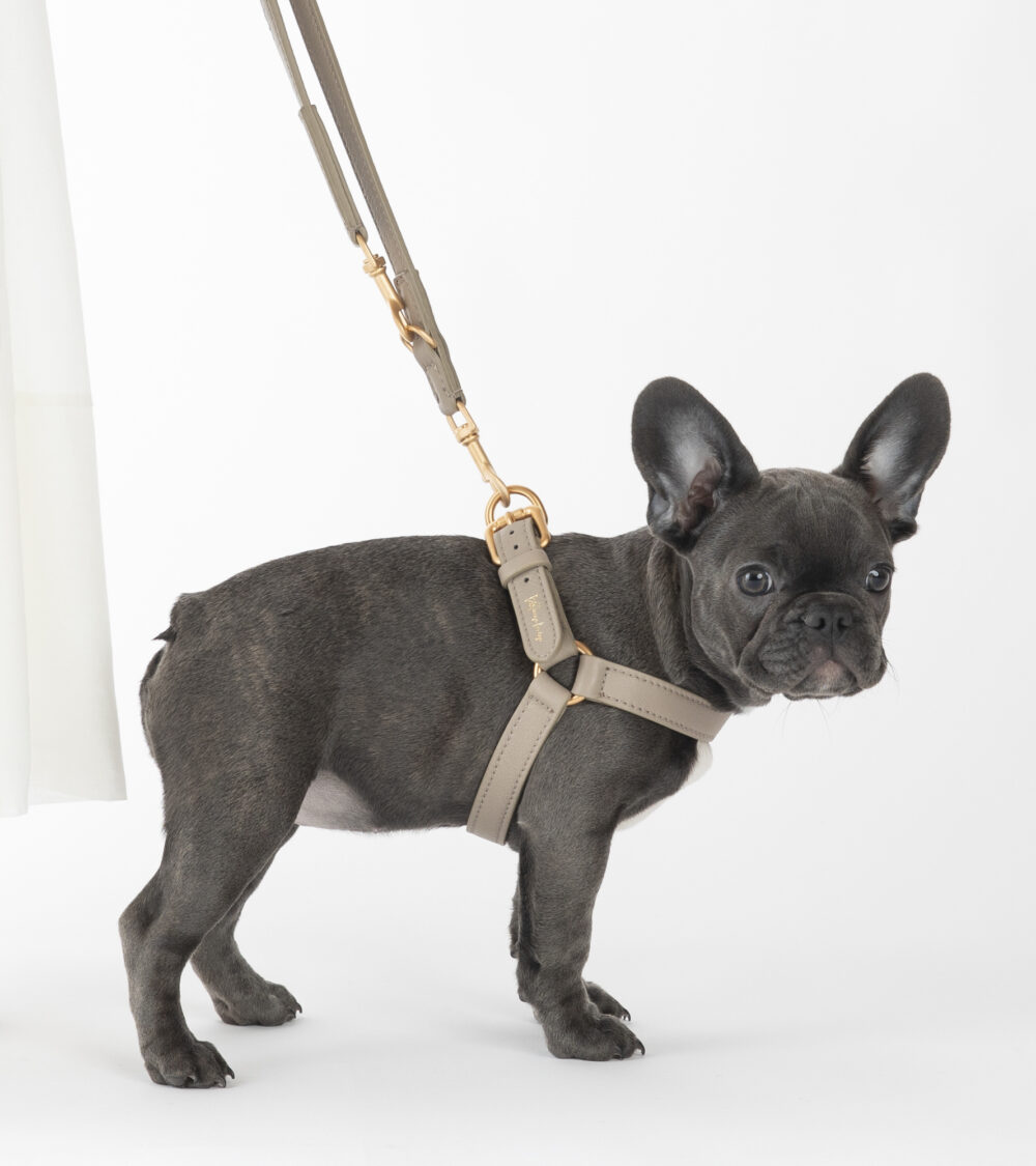Nappa Leather Harness - Lazy taupe - Image 4