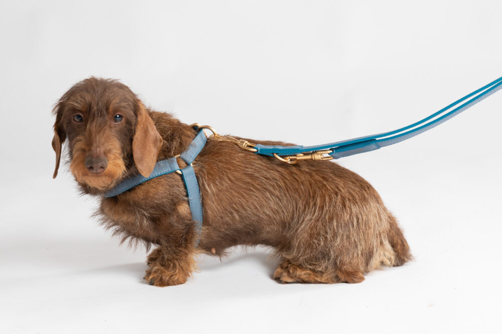Nappa Leather Harness - Dusty blue - Image 4