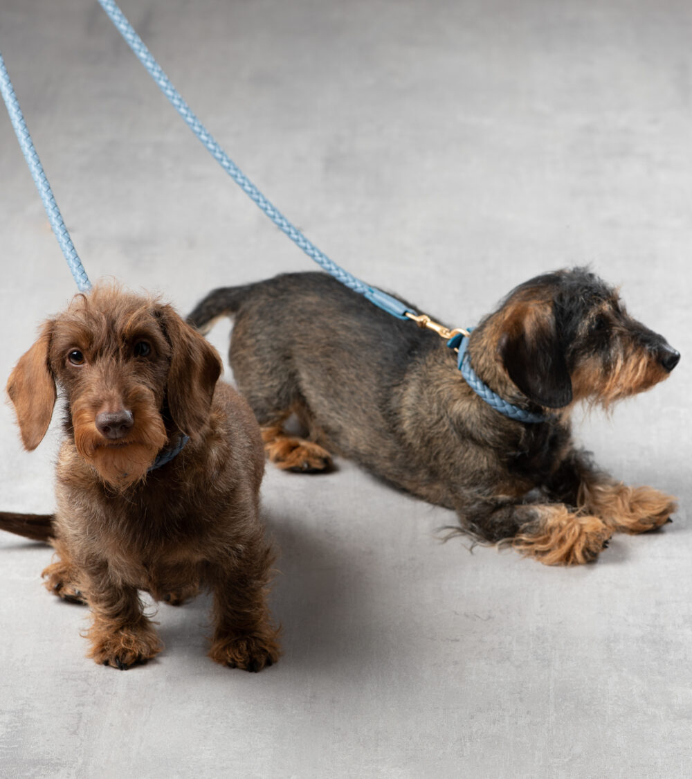 Real Nappa Leather Leash - Dusty blue - Image 4