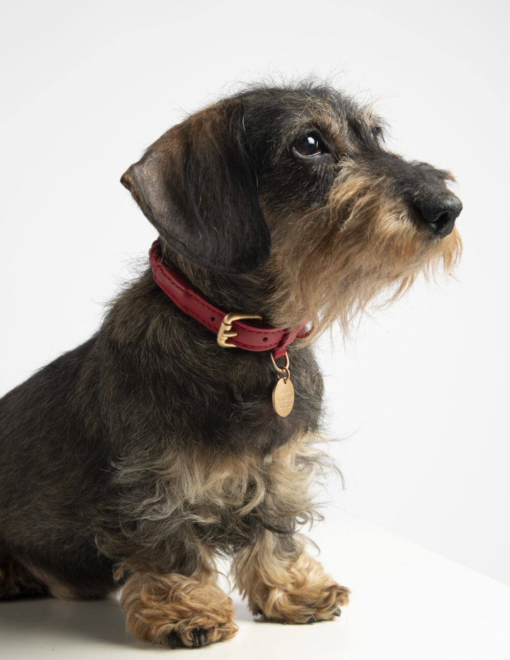 Real Nappa Leather Collar - Cheeky red - Image 6