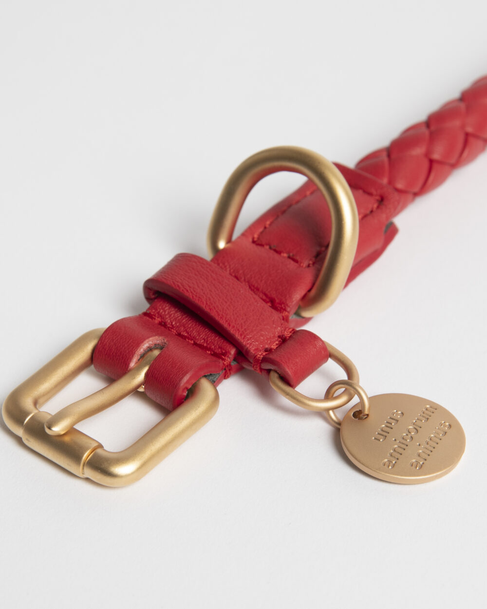Real Nappa Leather Collar - Cheeky red - Image 3