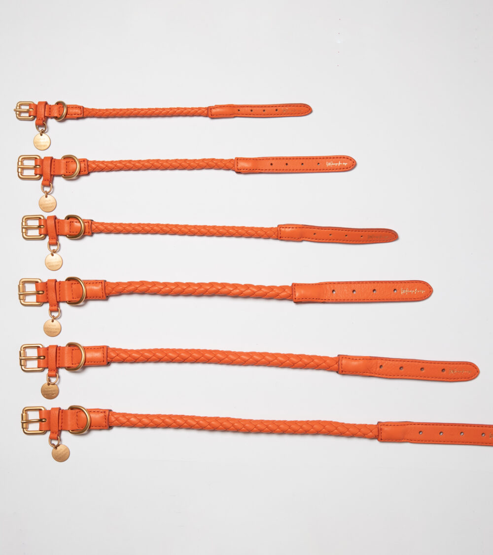 Real Nappa Leather Collar - Tangerine orange - Image 3