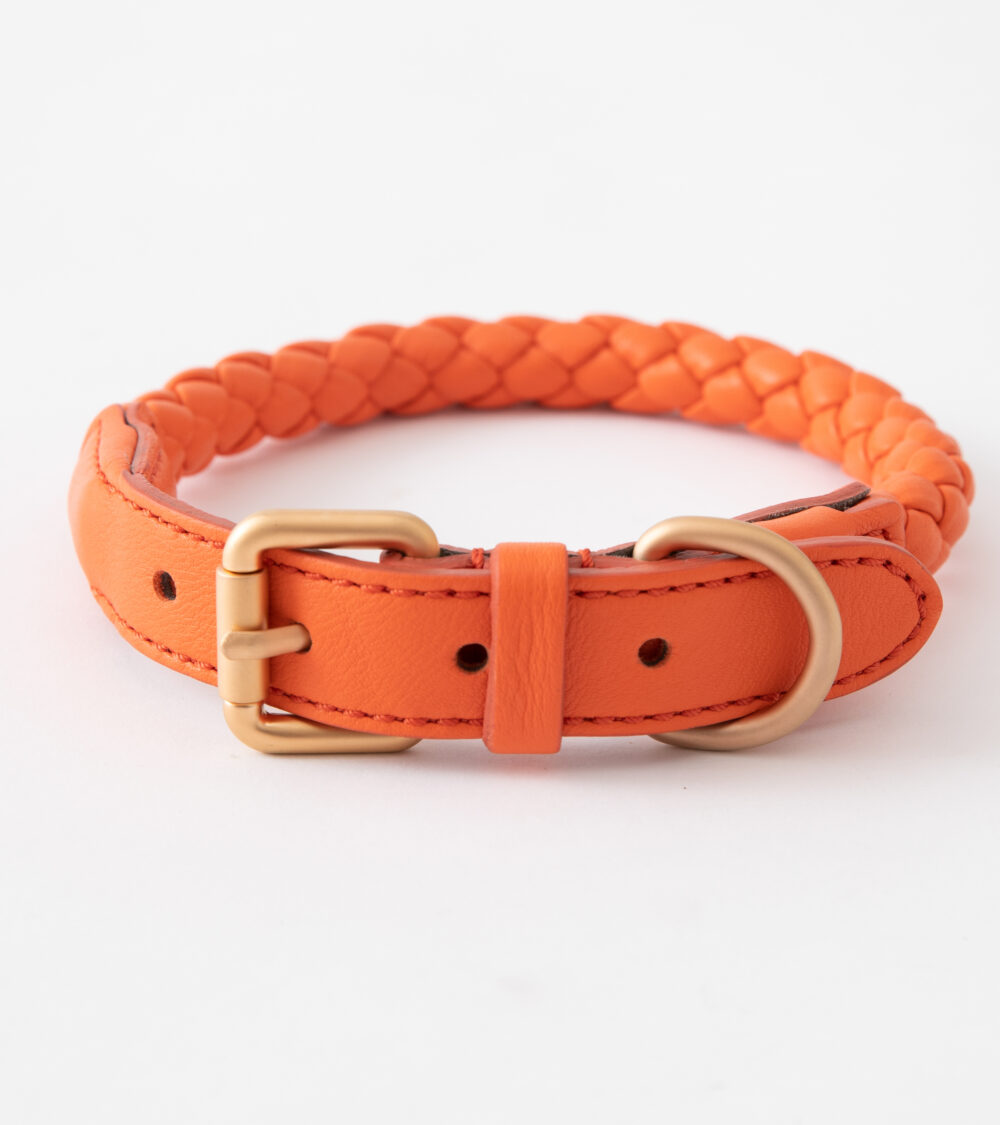 Real Nappa Leather Collar - Tangerine orange