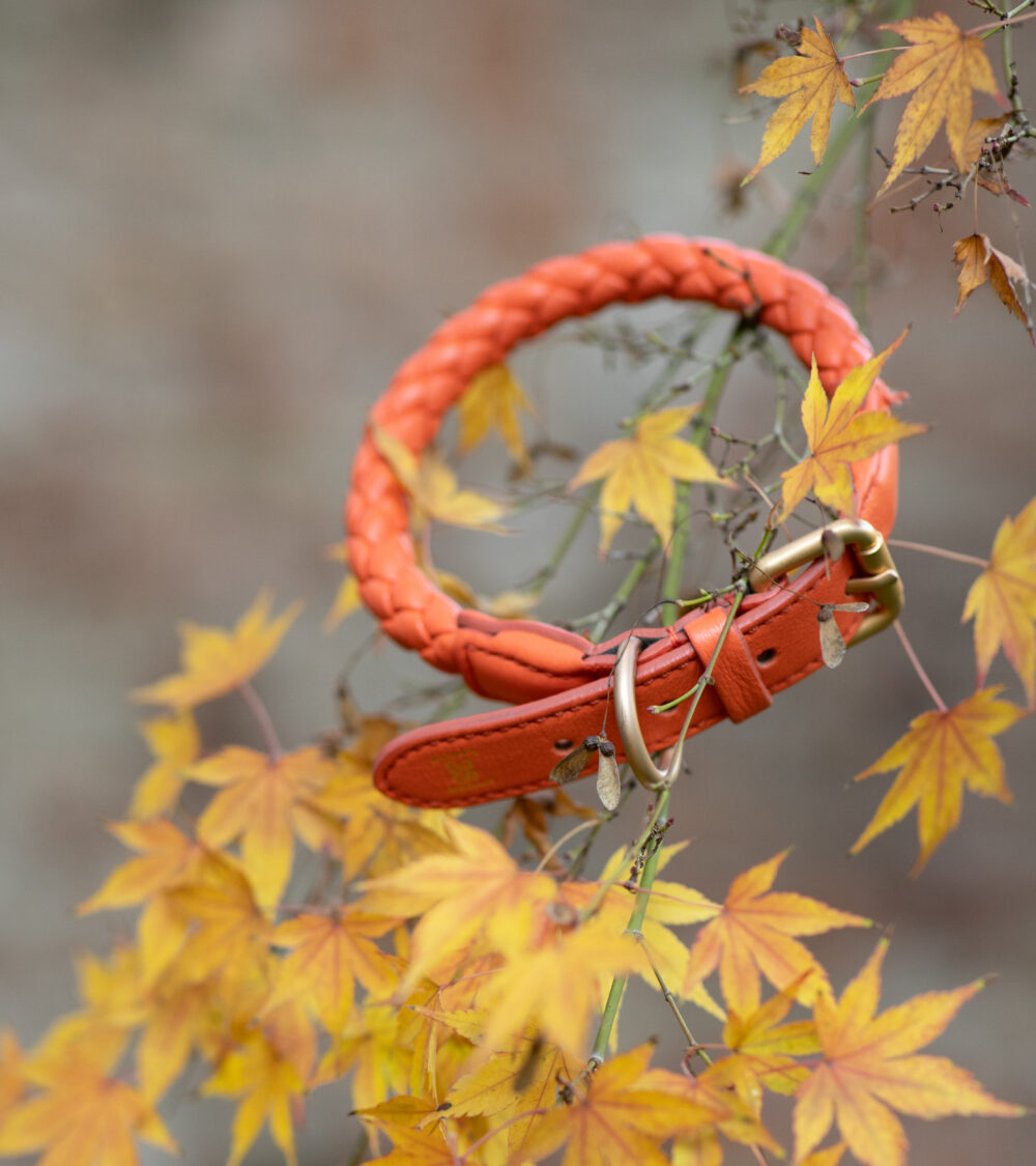 Real Nappa Leather Collar - Tangerine orange - Image 4