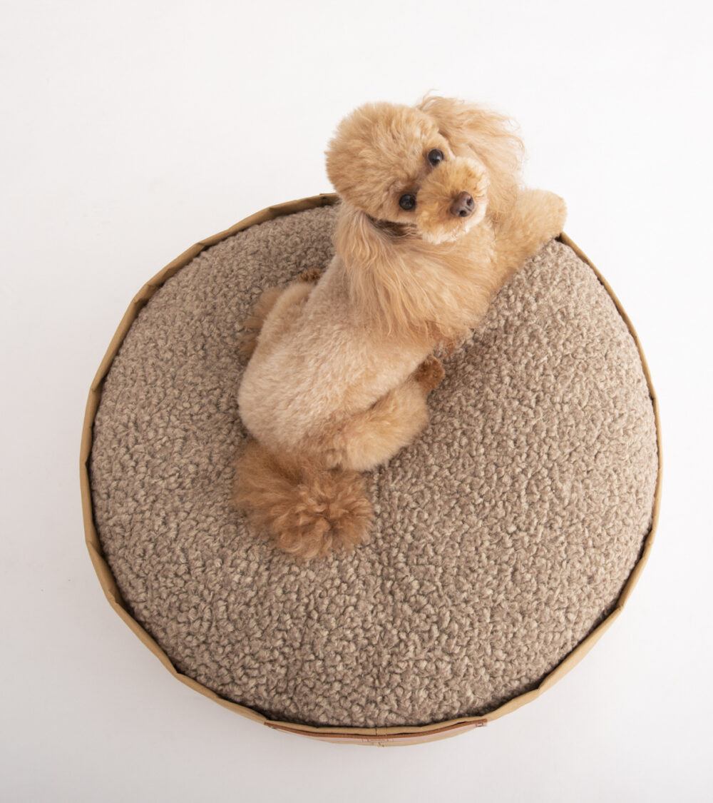 Paper Pet Cushion - Havana - Image 2