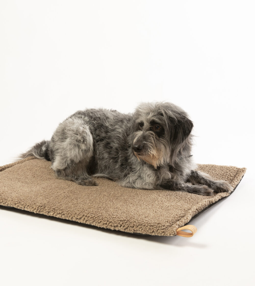 Wool Slim Dog Cushion - Havana - Image 7